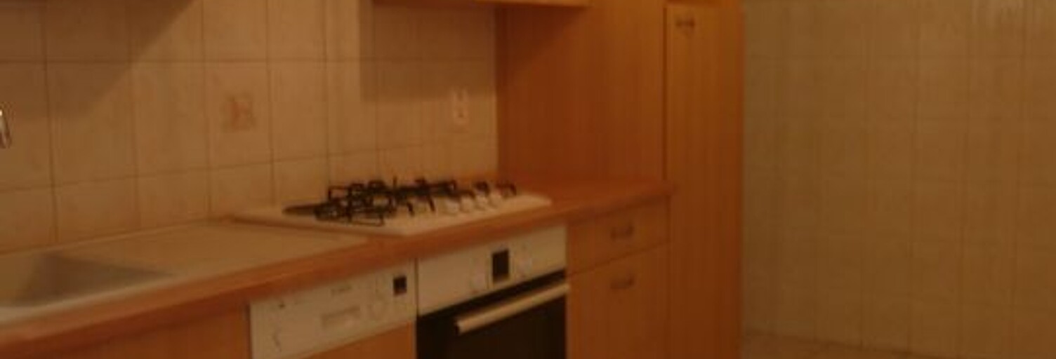 Appartement 1 Pièce 30 m² à louer à Chambéry (73000)