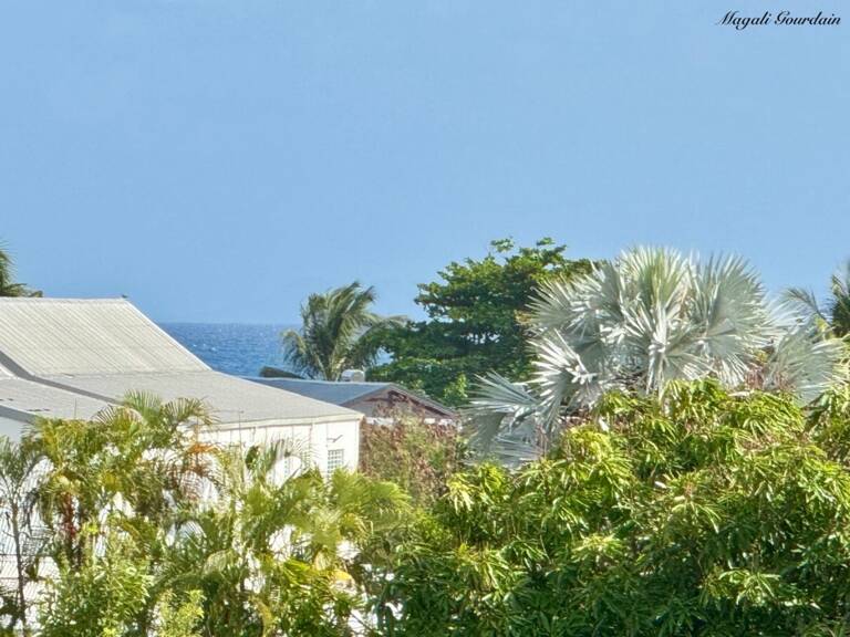A VENDRE - PROPRIÉTÉ AVEC DEUX HABITATIONS INDÉPENDANTES AU CŒUR D’UN JARDIN TROPICAL À SAINTE-ANNE — photo 1