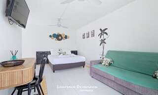 Appartement 1 Pièce 25 m² à vendre à Saint-François (97118)