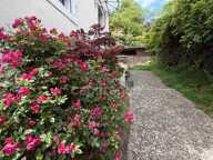 DEMEURE DE PRESTIGE FACE AUX SANCTUAIRES DE LOURDES — photo 2
