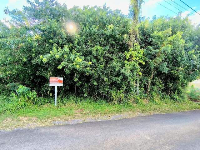 Terrain a vendre Saint Anne — photo du bien