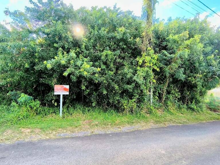 Terrain a vendre Saint Anne — photo 1