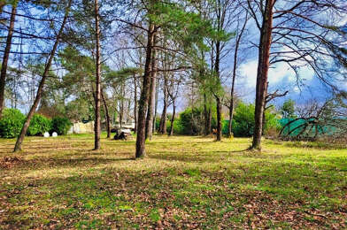 Terrain  55000 €
