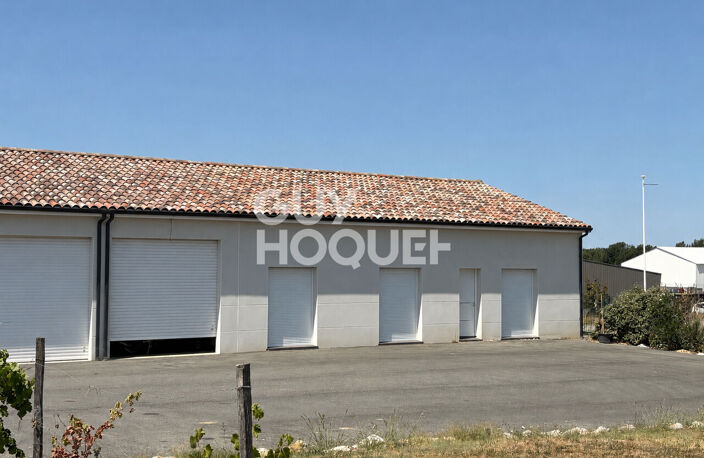 Bureaux Fronton — photo 5
