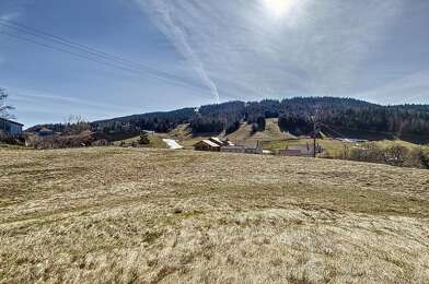 Terrain  325500 €