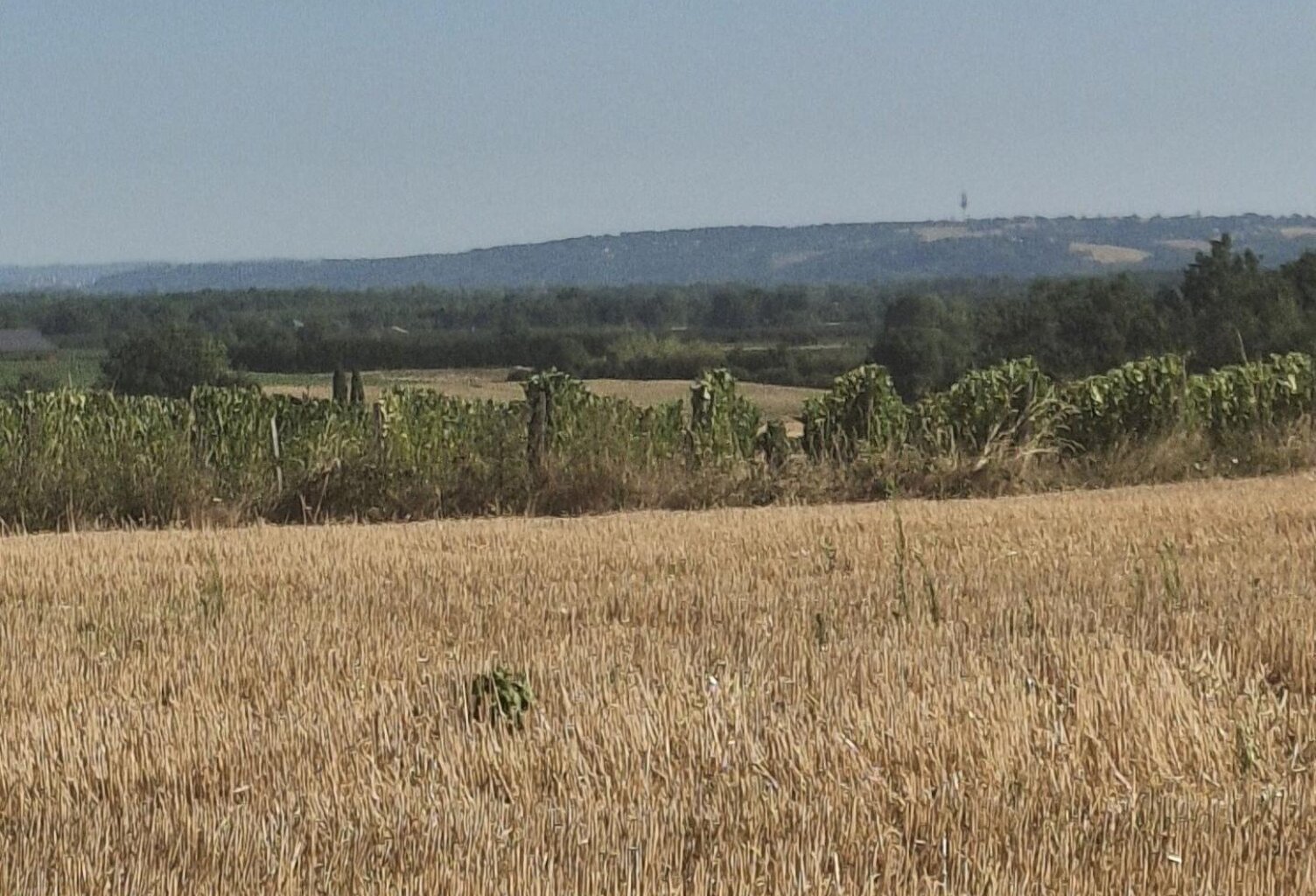 Terrain agricole de 4 hectares  Vue panoramique  Secteur Campsas / Fabas — photo 1
