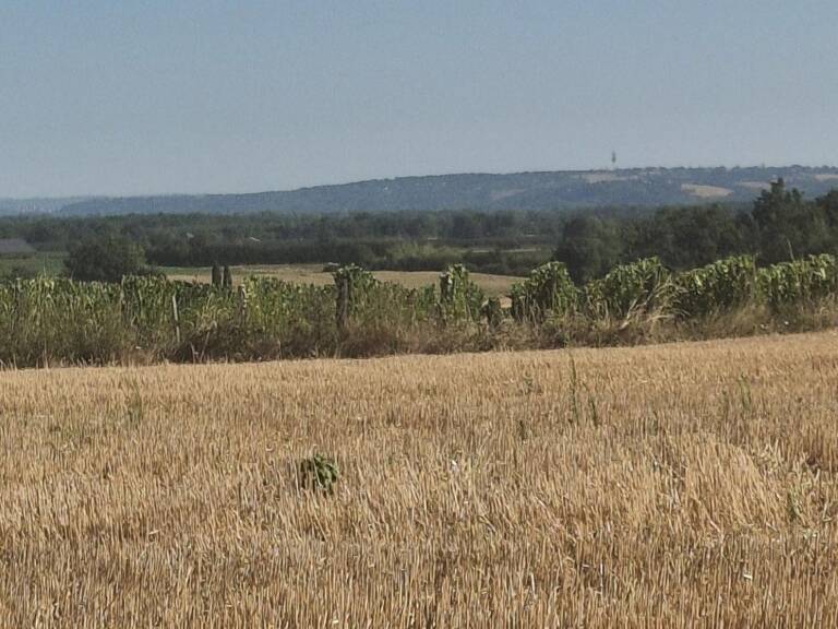 Terrain agricole de 4 hectares  Vue panoramique  Secteur Campsas / Fabas — photo 1