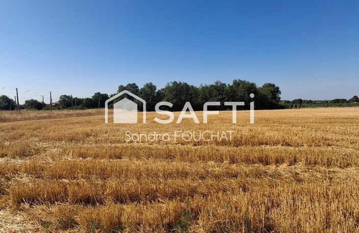 Terrain agricole de 4 hectares  Vue panoramique  Secteur Campsas / Fabas — photo 3