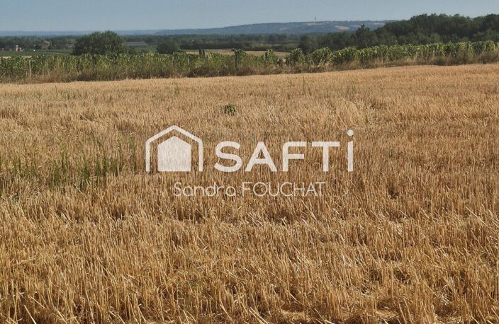 Terrain agricole de 4 hectares  Vue panoramique  Secteur Campsas / Fabas — photo 4