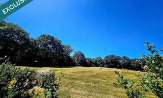 Terrain  89340 m² à vendre à Barenton (50720)