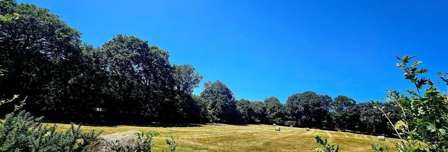 Terrain  89340 m² à vendre à Barenton (50720)
