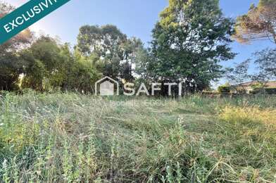 Terrain  294000 €