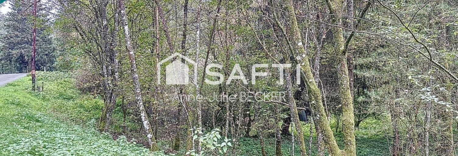 Terrain  20774 m² à vendre à Siersthal (57410)