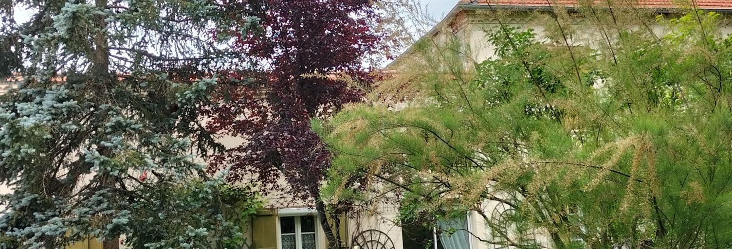 Maison 6 Pièces 140 m² à vendre à L'Isle-en-Dodon (31230)