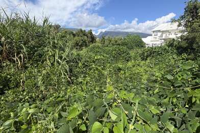 Terrain  1100000 €