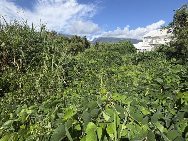 Vente Terrain à bâtir 3 600 m&sup2; — photo du bien