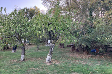 Terrain  160000 €
