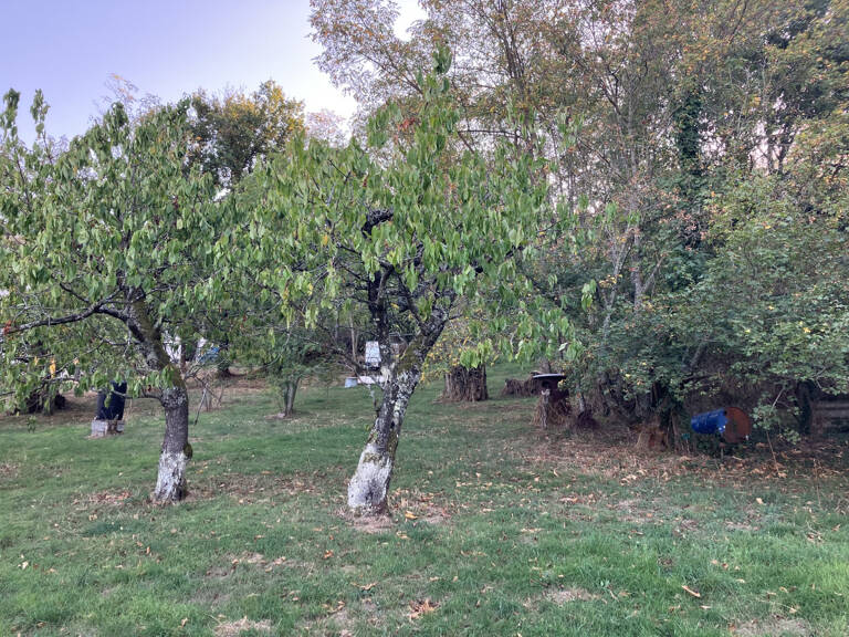 Terrain à bâtir — photo 1