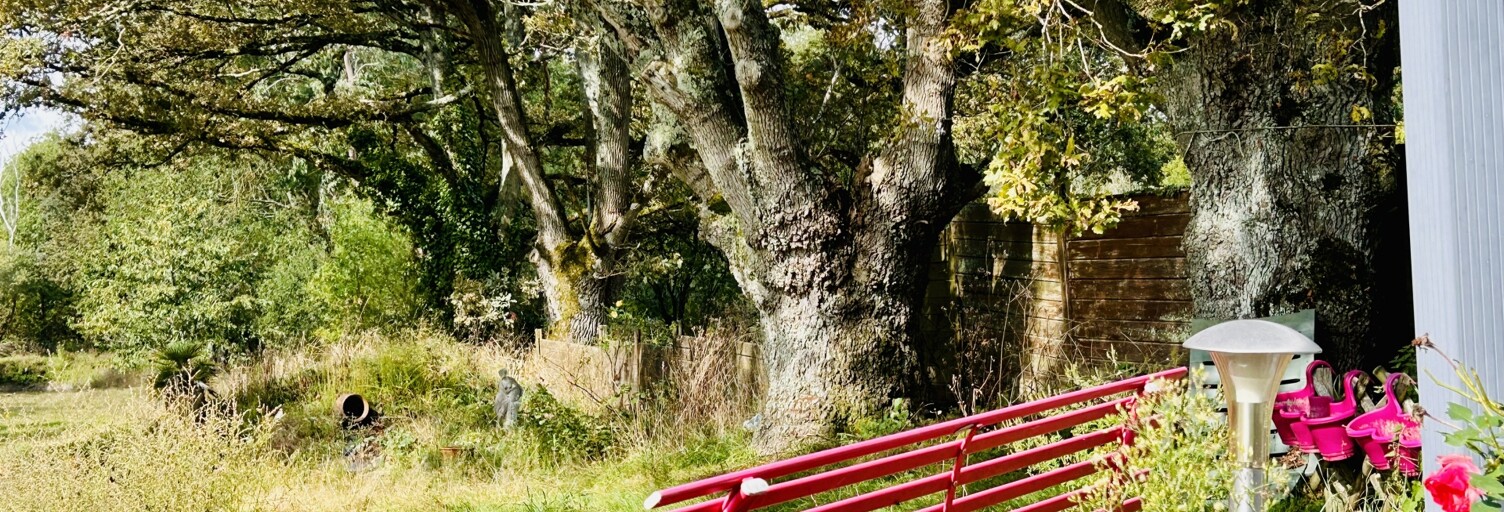 Photo N° 2