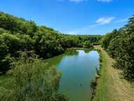 Propriété de 4,8 hectares avec 3 étangs et petite construction — photo 4