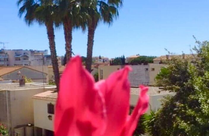 SUPERBE APPARTEMENT A AGDE A DECOUVRIR SANS TARDER — photo 5