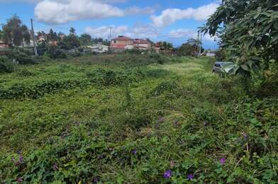 Terrain  157000 €
