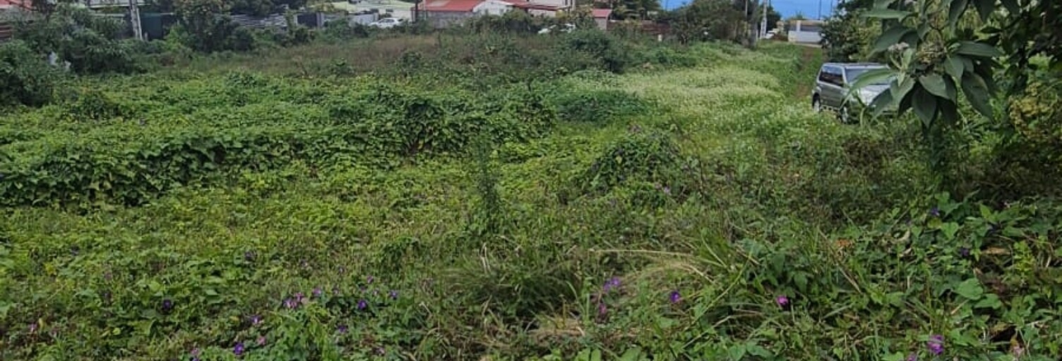 Terrain  552 m² à vendre à Le Tampon (97430)