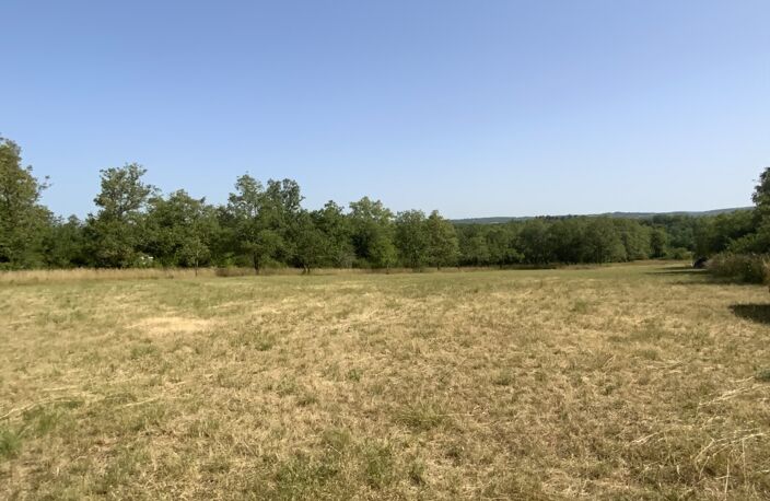 Vente Terrain 3 000 m&sup2; — photo 4