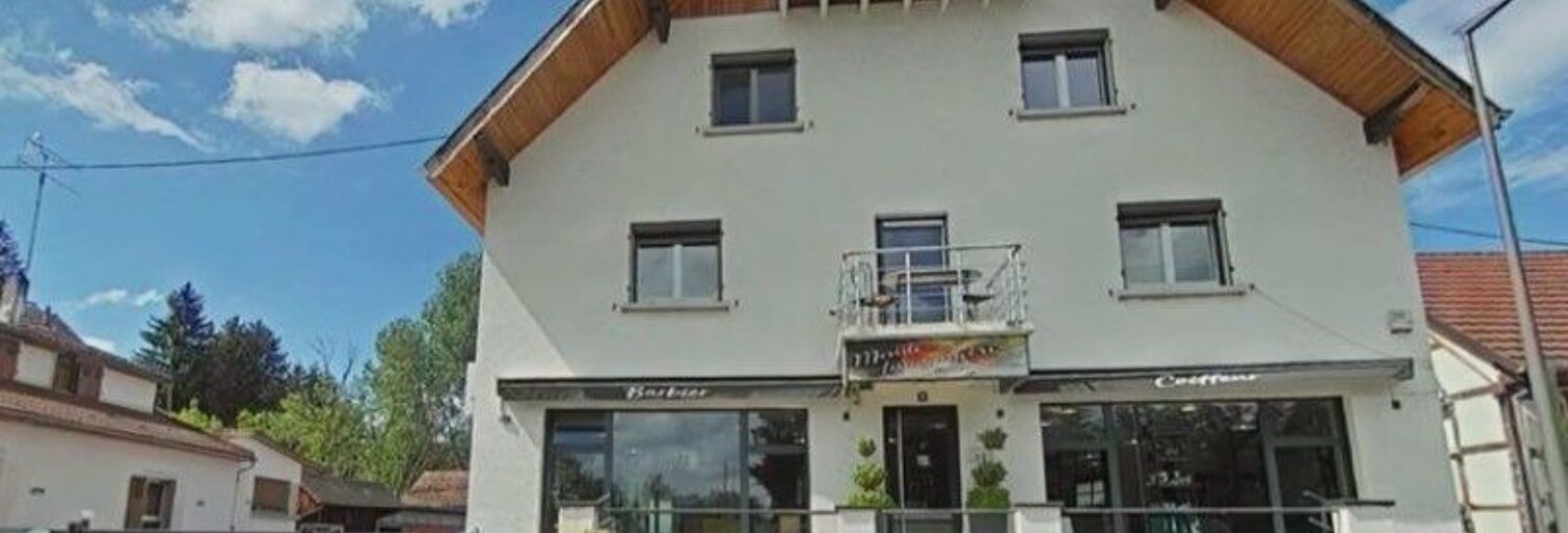 Maison 8 Pièces 196 m² à vendre à Durmenach (68480)