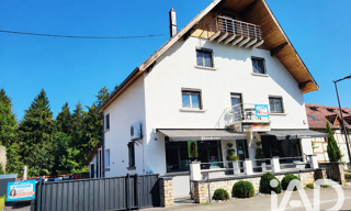 Maison 8 Pièces 196 m² à vendre à Durmenach (68480)