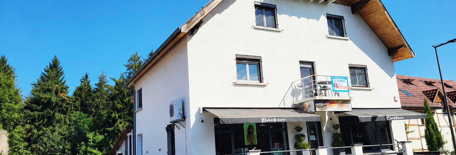 Maison 8 Pièces 196 m² à vendre à Durmenach (68480)