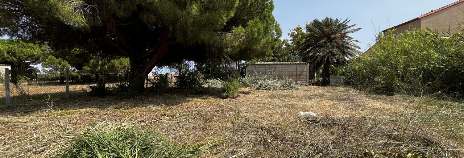 Terrain  1041 m² à vendre à Le Barcarès (66420)