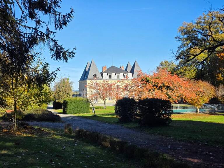 GROS POTENTIEL POUR CETTE TRES BELLE PROPRIETE DE 19HA AVEC CHATEAU ET BATIMENT DE + DE 1200 M² — photo 1