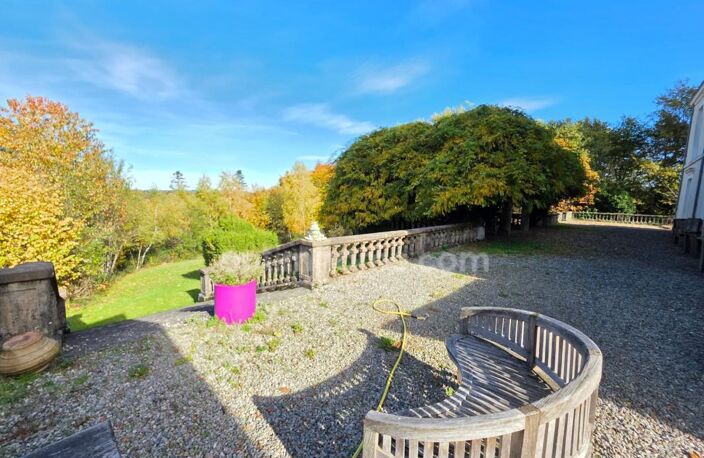 GROS POTENTIEL POUR CETTE TRES BELLE PROPRIETE DE 19HA AVEC CHATEAU ET BATIMENT DE + DE 1200 M² — photo 3