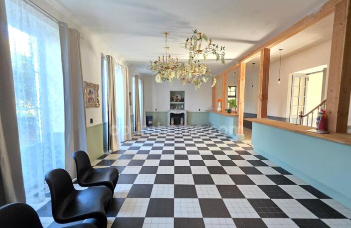 GROS POTENTIEL POUR CETTE TRES BELLE PROPRIETE DE 19HA AVEC CHATEAU ET BATIMENT DE + DE 1200 M² — photo 5