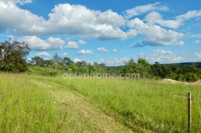 Terrain  55000 €