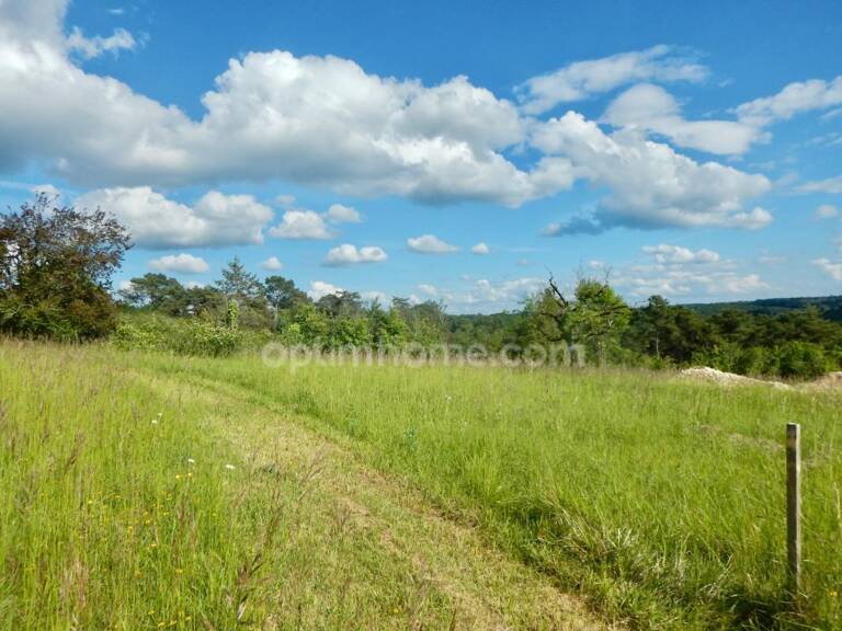 Terrain à vendre de 1 500 m² sur la commune de NOTRE-DAME-DE-SANILHAC (24) — photo 1
