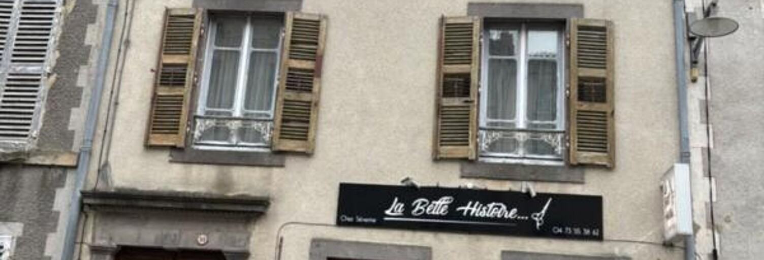 Maison 12 Pièces 201 m² à vendre à Ardes (63420)