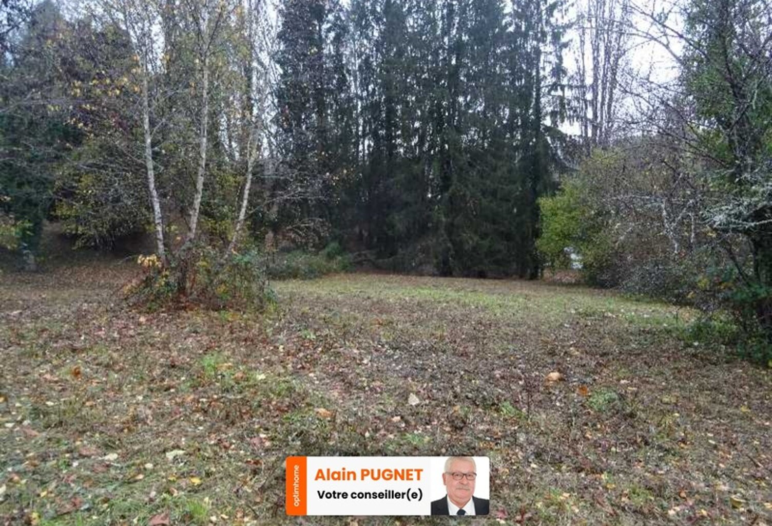 A PANAZOL BEAU TERRAIN DE 8182 M² AVEC CU DANS UNE IMPASSE — photo 1