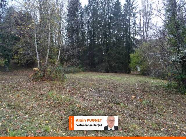 A PANAZOL BEAU TERRAIN DE 8182 M² AVEC CU DANS UNE IMPASSE — photo du bien