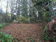 A PANAZOL BEAU TERRAIN DE 8182 M² AVEC CU DANS UNE IMPASSE — photo 2