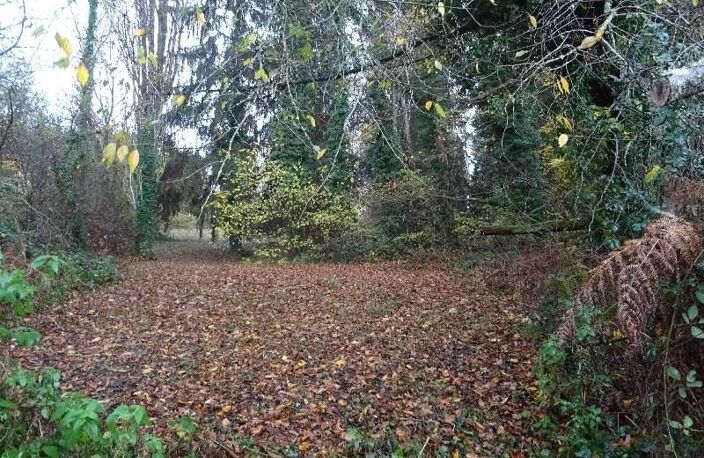 A PANAZOL BEAU TERRAIN DE 8182 M² AVEC CU DANS UNE IMPASSE — photo 2