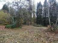 A PANAZOL BEAU TERRAIN DE 8182 M² AVEC CU DANS UNE IMPASSE — photo 3