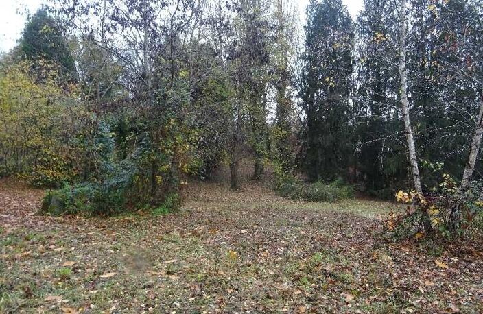 A PANAZOL BEAU TERRAIN DE 8182 M² AVEC CU DANS UNE IMPASSE — photo 3
