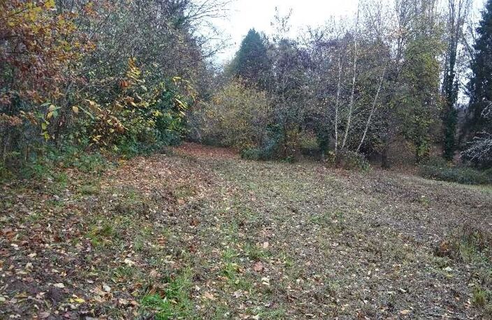 A PANAZOL BEAU TERRAIN DE 8182 M² AVEC CU DANS UNE IMPASSE — photo 4