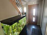 Grande maison familiale avec piscine à Damparis : l'espace dont votre famille rêve ! — photo 3