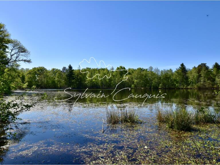 Territoire de Chasse de 171 hectares en Sologne — photo 1