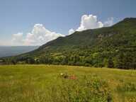 Dpt Alpes de Haute Provence (04), à vendre Proche ENTREVAUX Maison atypique sur 4 hectares, Vue panoramique — photo 4