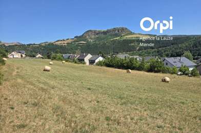 Terrain  300000 €