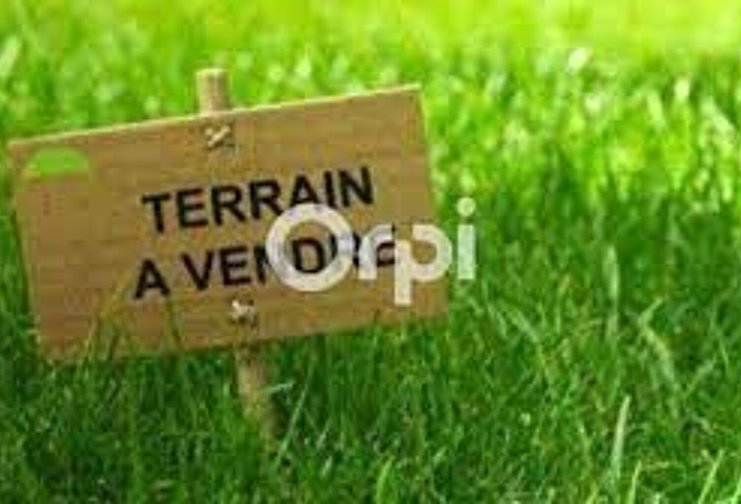 Terrain À Vendre — photo 1